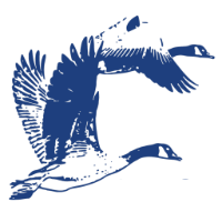 avatar for snowbirds@sueden.social