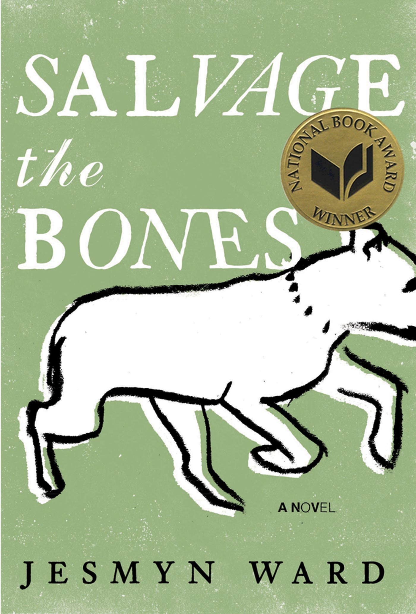 Jesmyn Ward: Salvage the Bones (Hardcover, 2011, Bloomsbury USA)