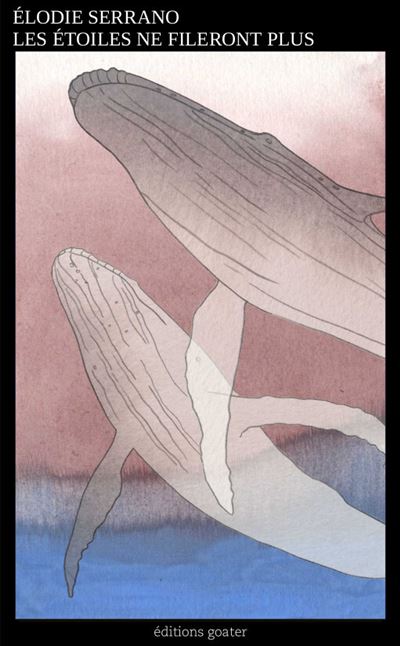 Élodie Serrano: Les étoiles ne fileront plus (Français language, 2024, Editions Goater)
