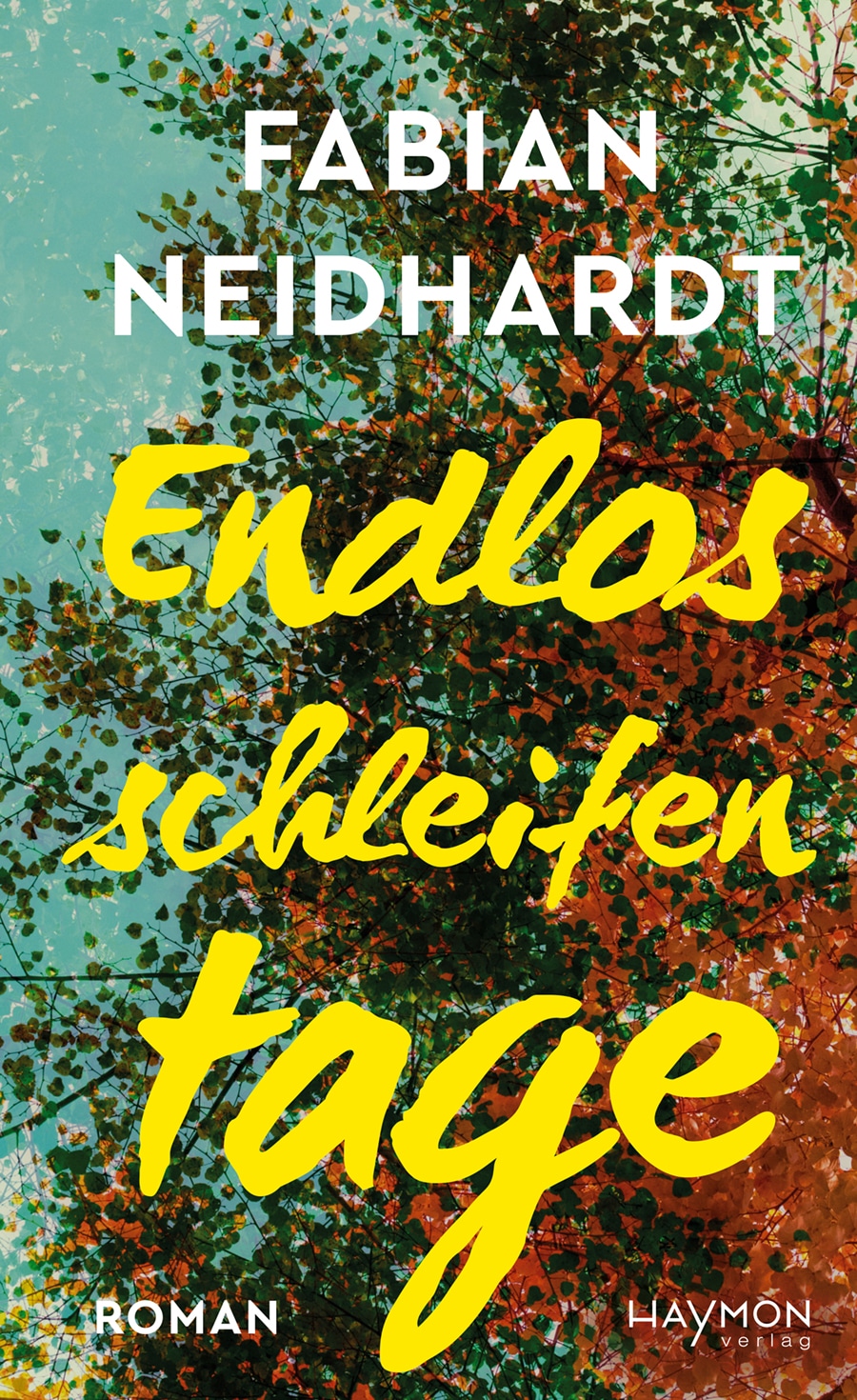 Fabian Neidhardt: Endlosschleifentage (Hardcover, deutsch language, Haymon)