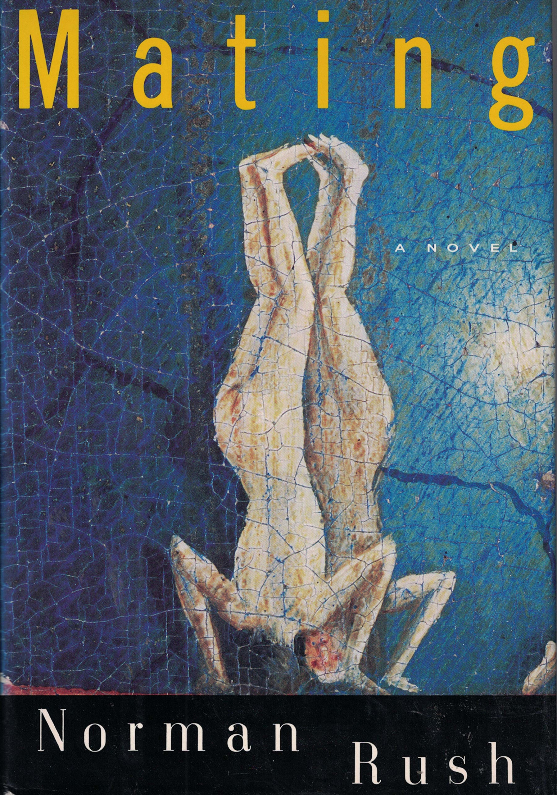 Norman Rush: Mating (Hardcover, 1991, Alfred A. Knopf)