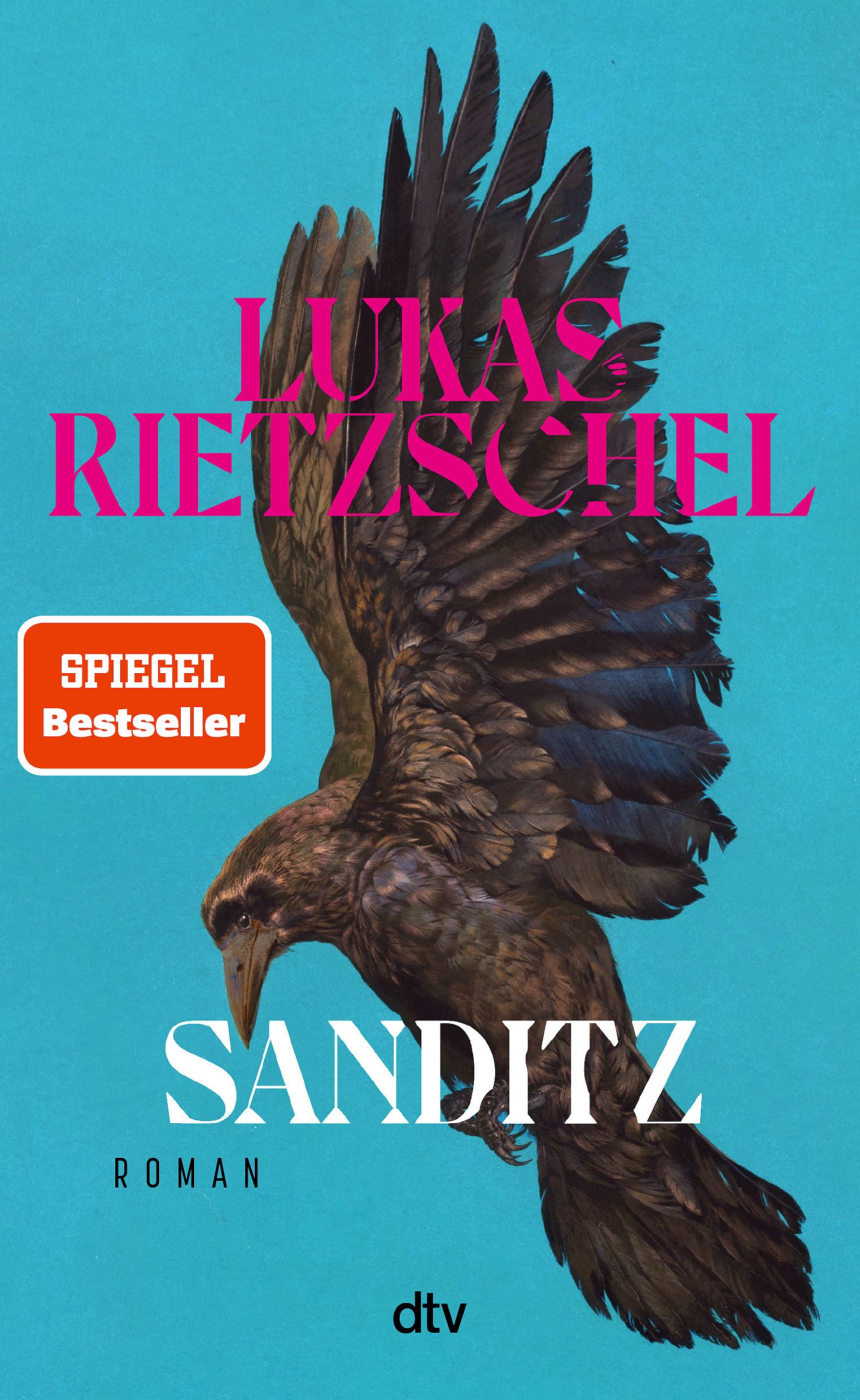 Lukas Rietzschel: Sanditz (dtv)