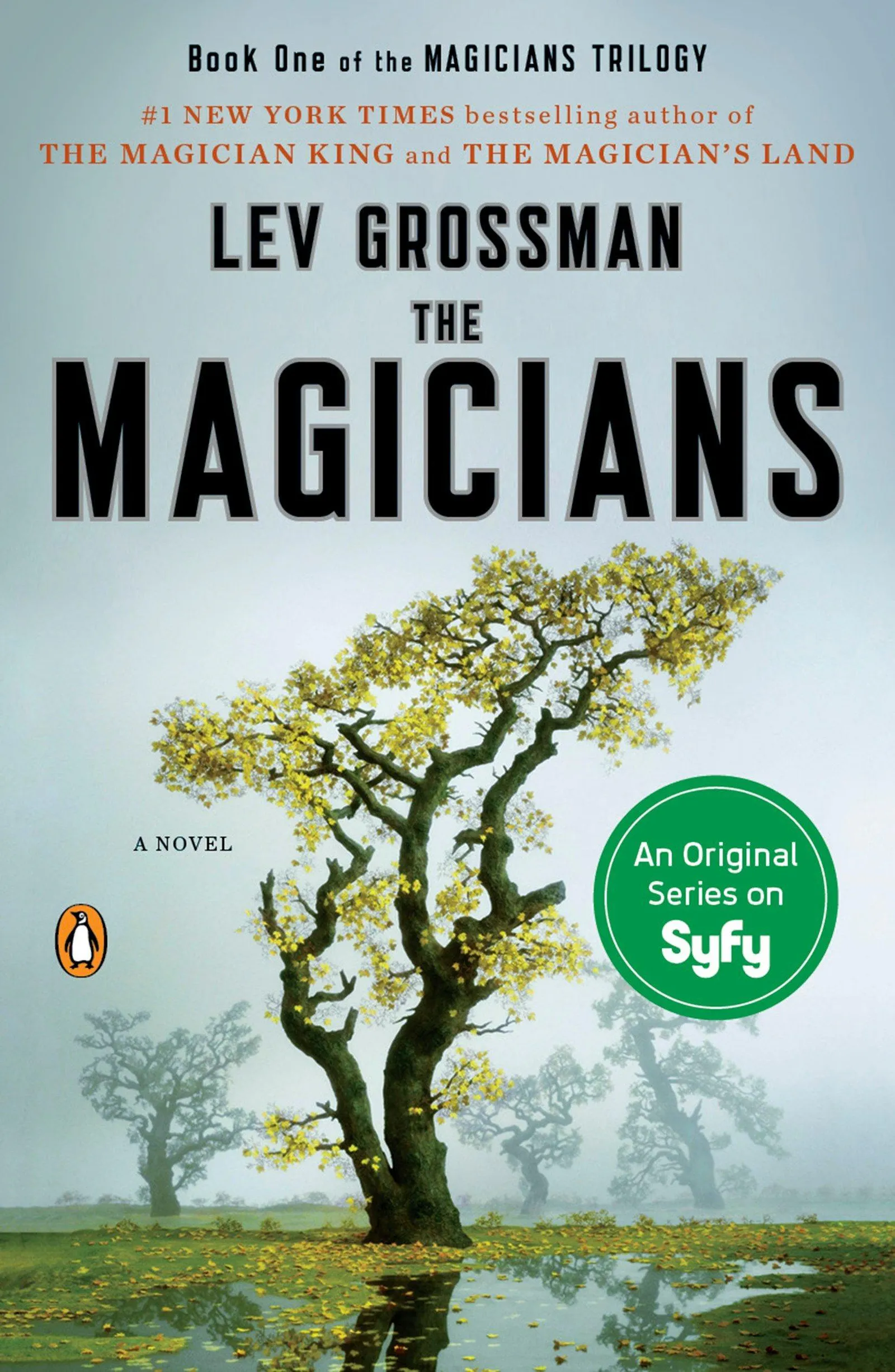 Lev Grossman: The Magicians (The Magicians #1) (2016)
