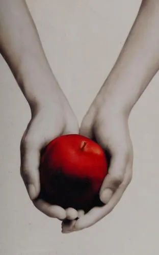 Stephenie Meyer: Twilight (2010)