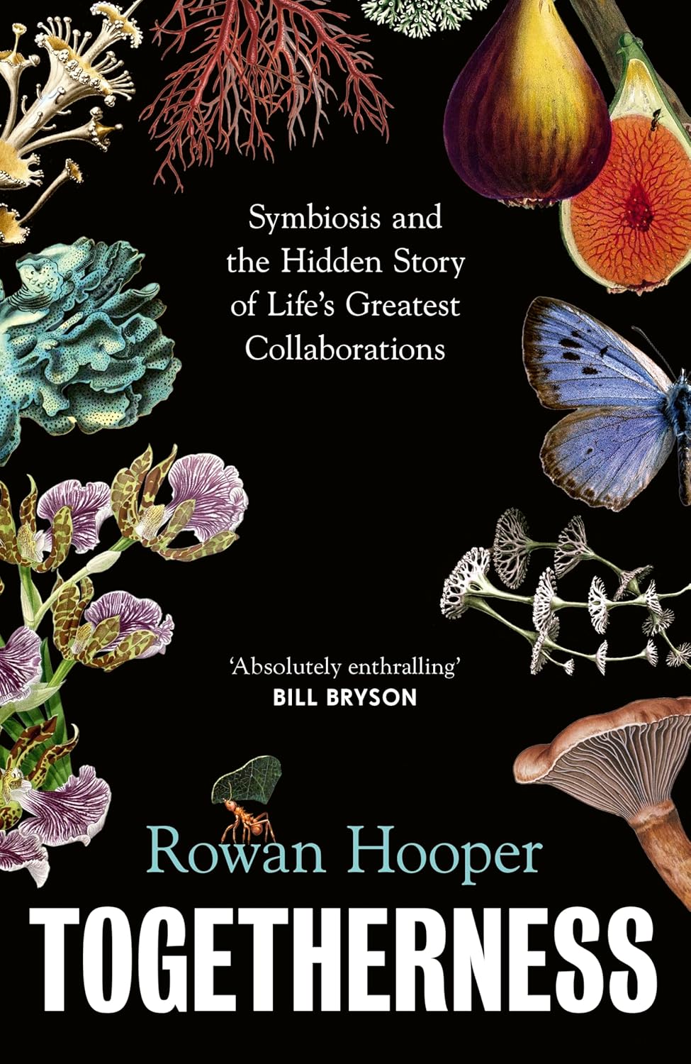 Rowan Hooper: Togetherness (Hardcover, Fern Press)