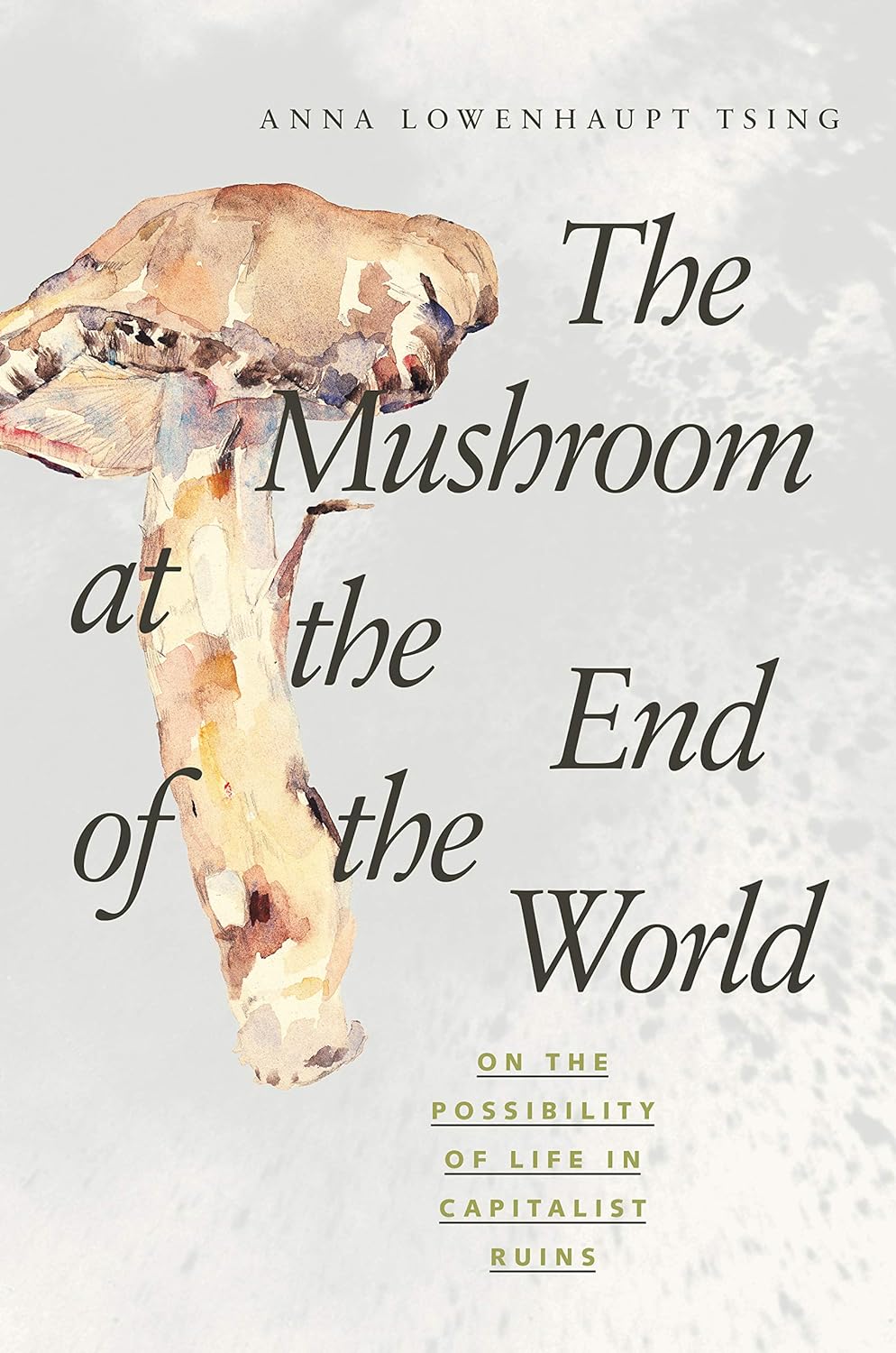 Anna Lowenhaupt Tsing: The Mushroom at the End of the World (2015, Princeton University Press)