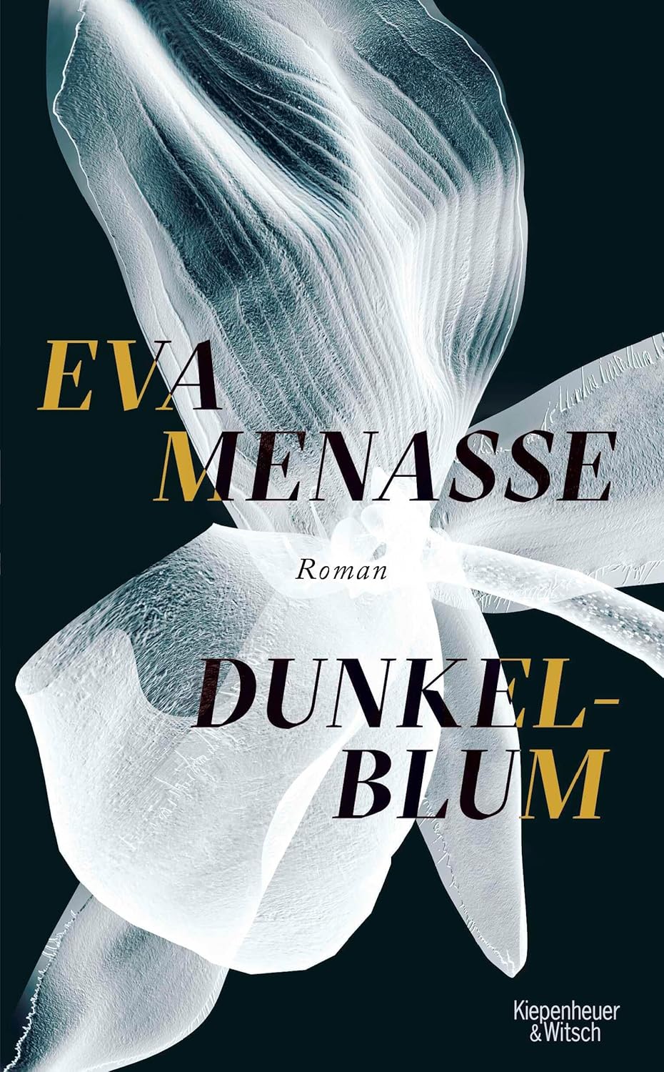 Eva Menasse: Dunkelblum (German language, 2021, Kiepenheuer & Witsch)