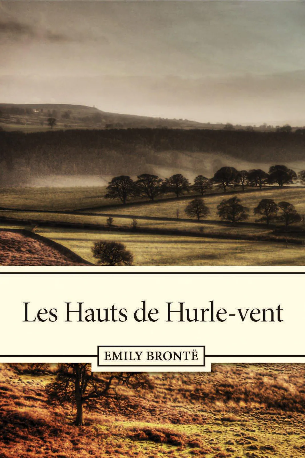 Emily Brontë: Les Hauts de Hurle-Vent (French language, 2000)