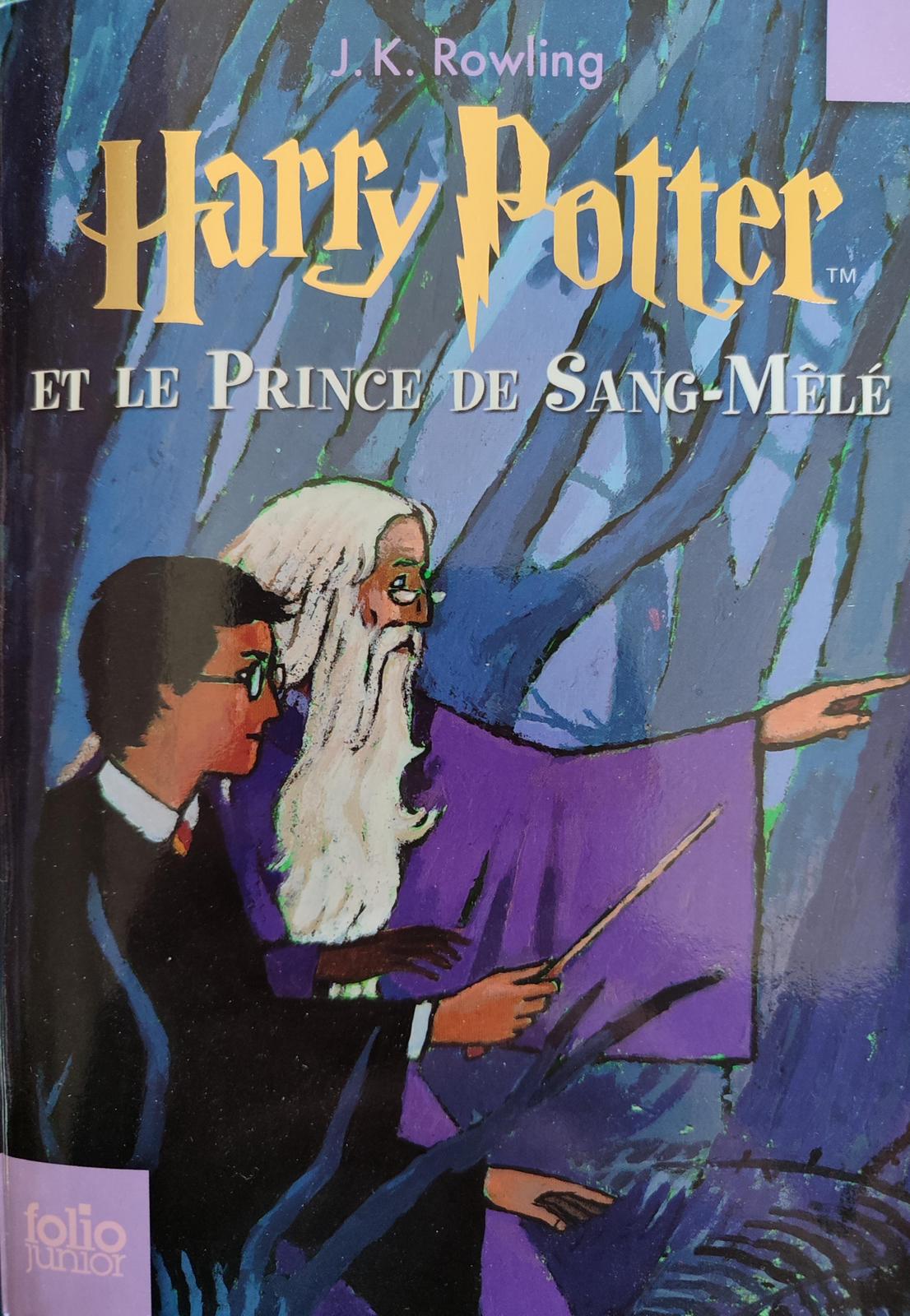 J.K. Rowling, Mary GrandPré: Harry Potter et le Prince de Sang-Mêlé (French language, 2007, Gallimard Jeunesse)