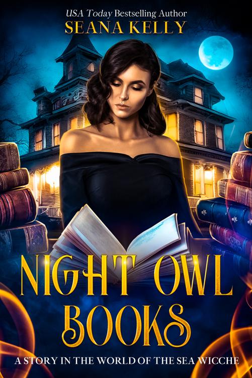 Seana Kelly: Night Owl Books (EBook, 2025, Nancy Yost Literary Agency)