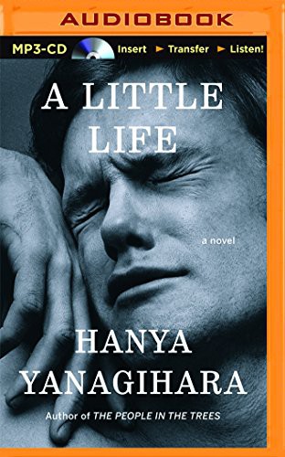 Oliver Wyman, Hanya Yanagihara: A Little Life (AudiobookFormat, Audible Studios on Brilliance Audio)