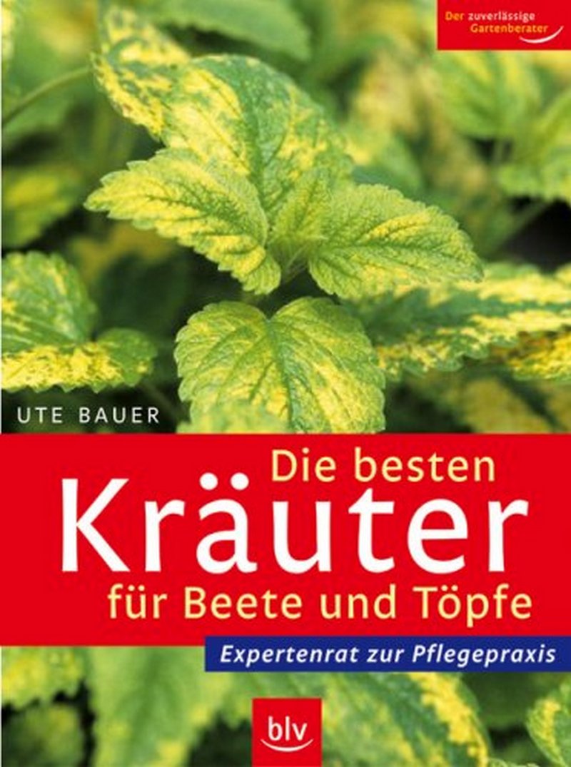Bauer, Ute: Die besten Kräuter für Beete und Töpfe (Hardcover, Deutsch language, BLV Buchverlag GmbH & Co. KG)