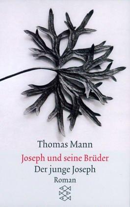 Thomas Mann: Joseph Und Seine Bruder (Paperback, German language, Fischer Taschenbuch Verlag GmbH)