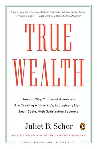Juliet B. Schor: True Wealth (Paperback, Penguin Books)