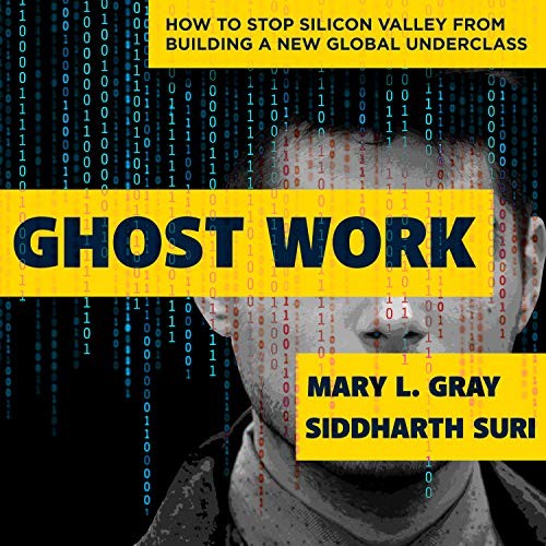 Mary L. Gray, Siddharth Suri, Will Damron: Ghost Work (AudiobookFormat, HighBridge Audio)