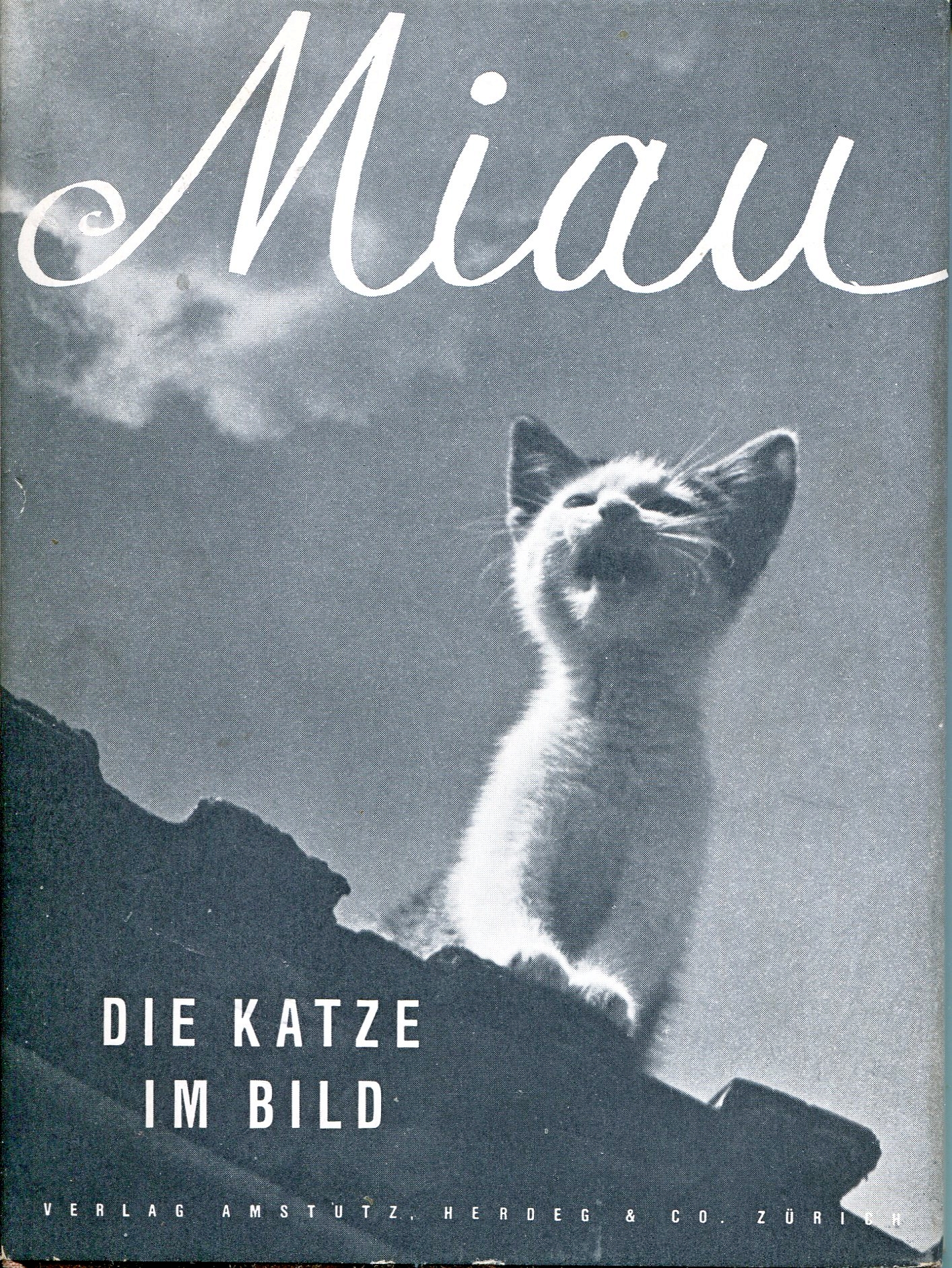 Verlag Amstutz (Herausgeber): Miau - Die Katze im Bild (Paperback, Deutsch language, Verlag Amstutz, Herdeg & Co., Zürich)
