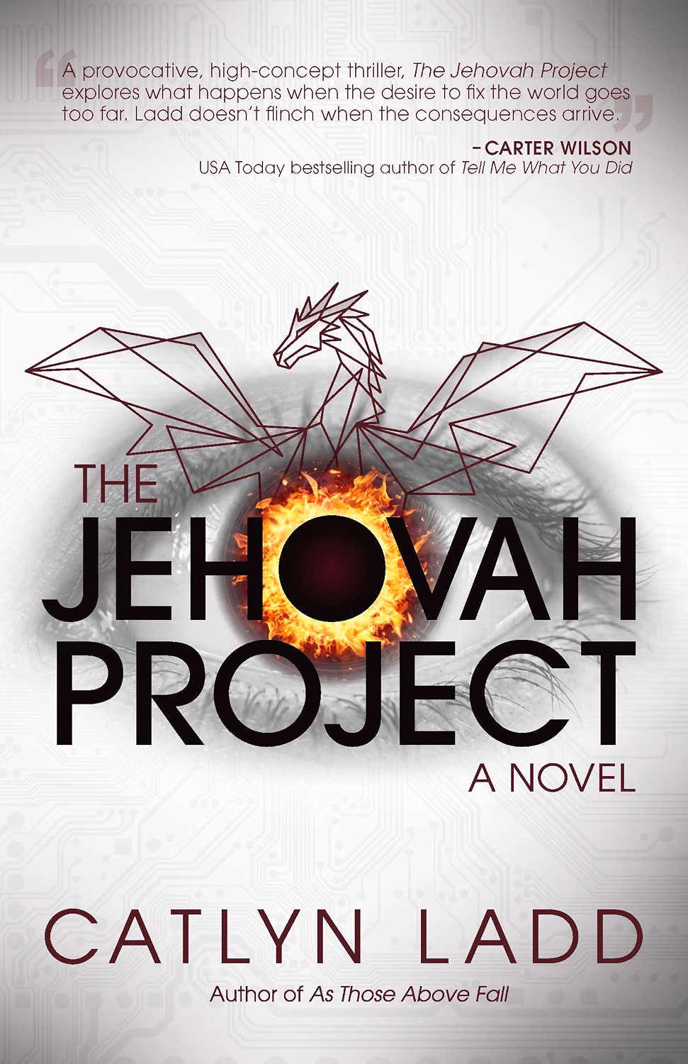 Catlyn Ladd: The Jehovah Project (Winding Road Stories)