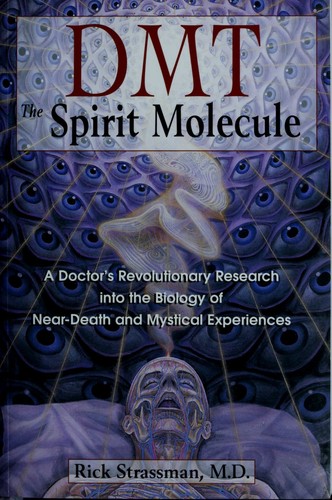Rick Strassman MD: DMT: The Spirit Molecule (Paperback, Park Street Press)