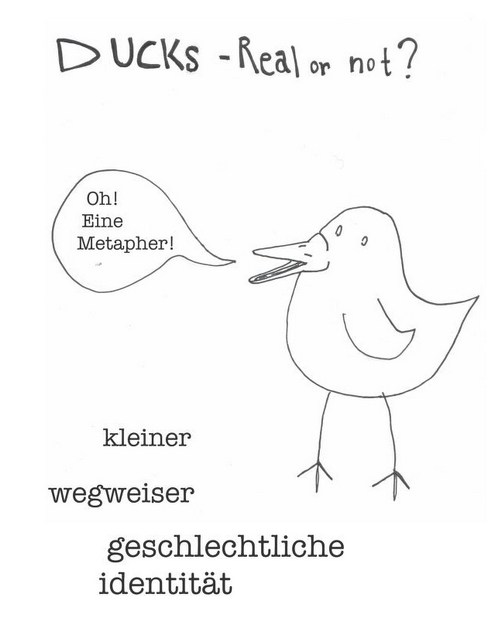 Ducks - Real or not? (Paperback, Deutsch language)