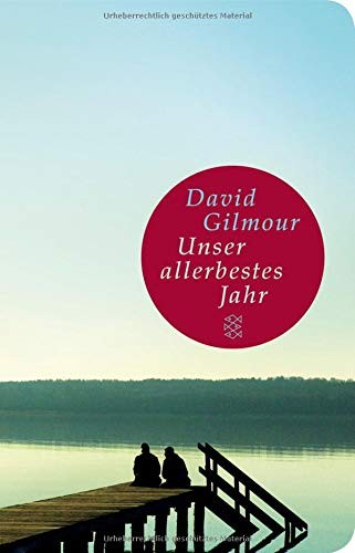 David Gilmour: Unser allerbestes Jahr (Hardcover, FISCHER Taschenbuch)