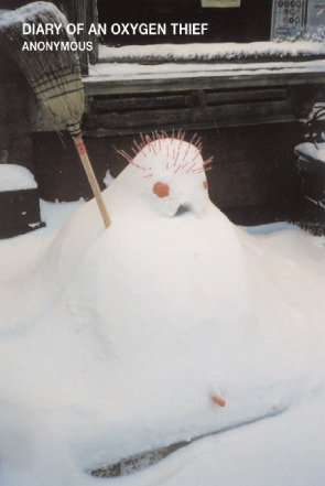 Anonymous, Eduardo Iriarte: Diary of an oxygen thief (2006, NLVI Publishers)