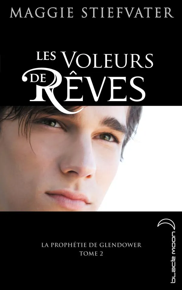 Maggie Stiefvater: Les voleurs de rêves (French language, 2013, Hachette)