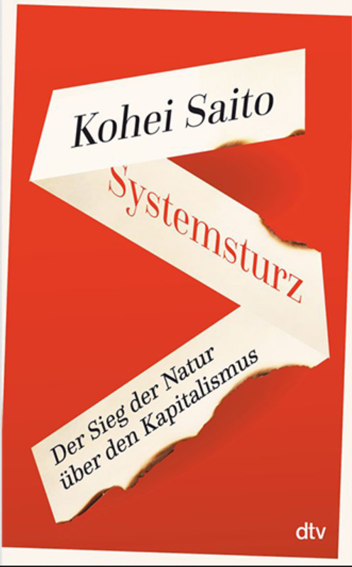 Kōhei Saitō: Systemsturz (Paperback, dtv)