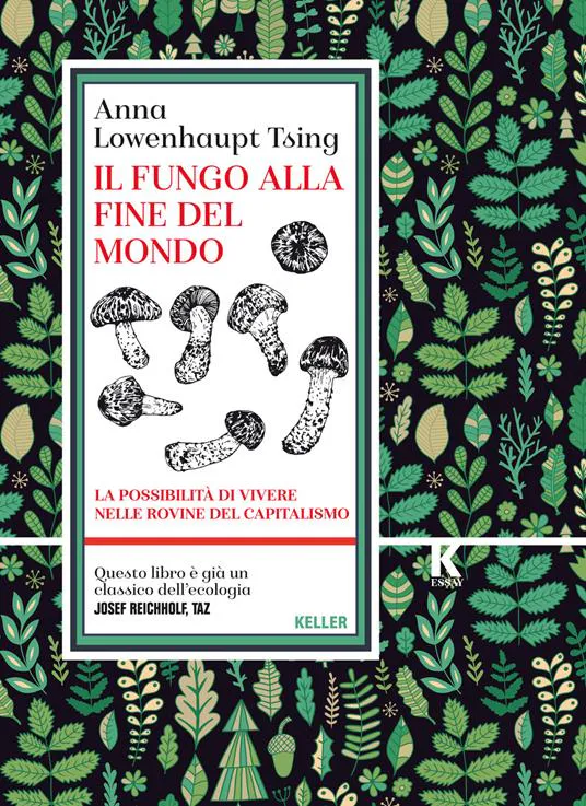 Anna Lowenhaupt Tsing: Il fungo alla fine del mondo: La possibilità di vivere nelle rovine del capitalismo (Italian language, 2021)