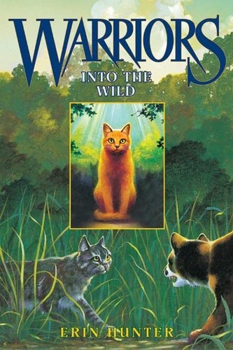 Into the Wild (Hardcover, 2003, HarperCollins)