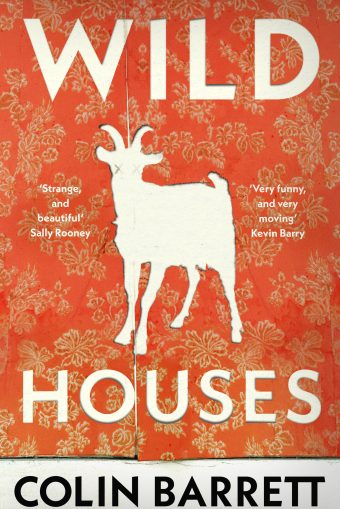 Colin Barrett: Wild Houses (Hardcover, english language, 2024, Grove Atlantic)