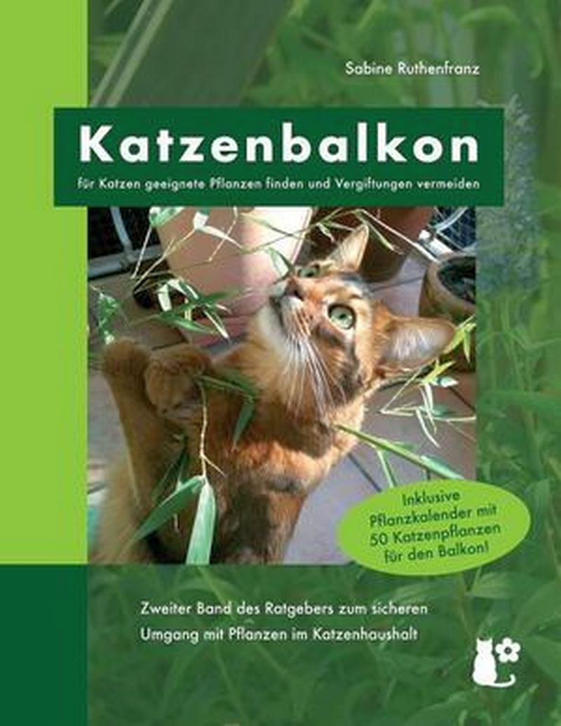 Ruthenfranz, Sabine: Katzenbalkon (Paperback, Deutsch language, BoD – Books on Demand)