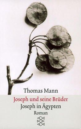 Thomas Mann: Joseph in Agypten (Paperback, German language, Fischer Taschenbuch Verlag GmbH)