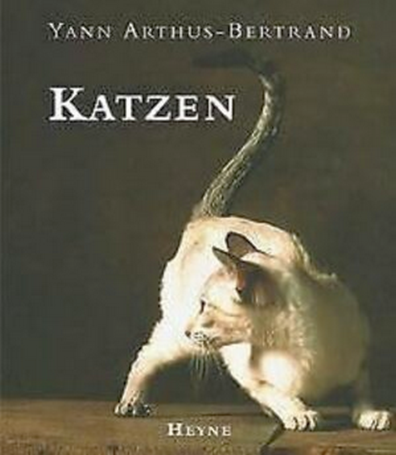 Arthus-Bertrand, Yann: Katzen (Hardcover, Deutsch language, Collection Rolf Heyne, München)