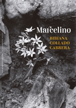 Bibiana Collado Cabrera: Marcelino (Hardcover, Pepitas de calabaza)