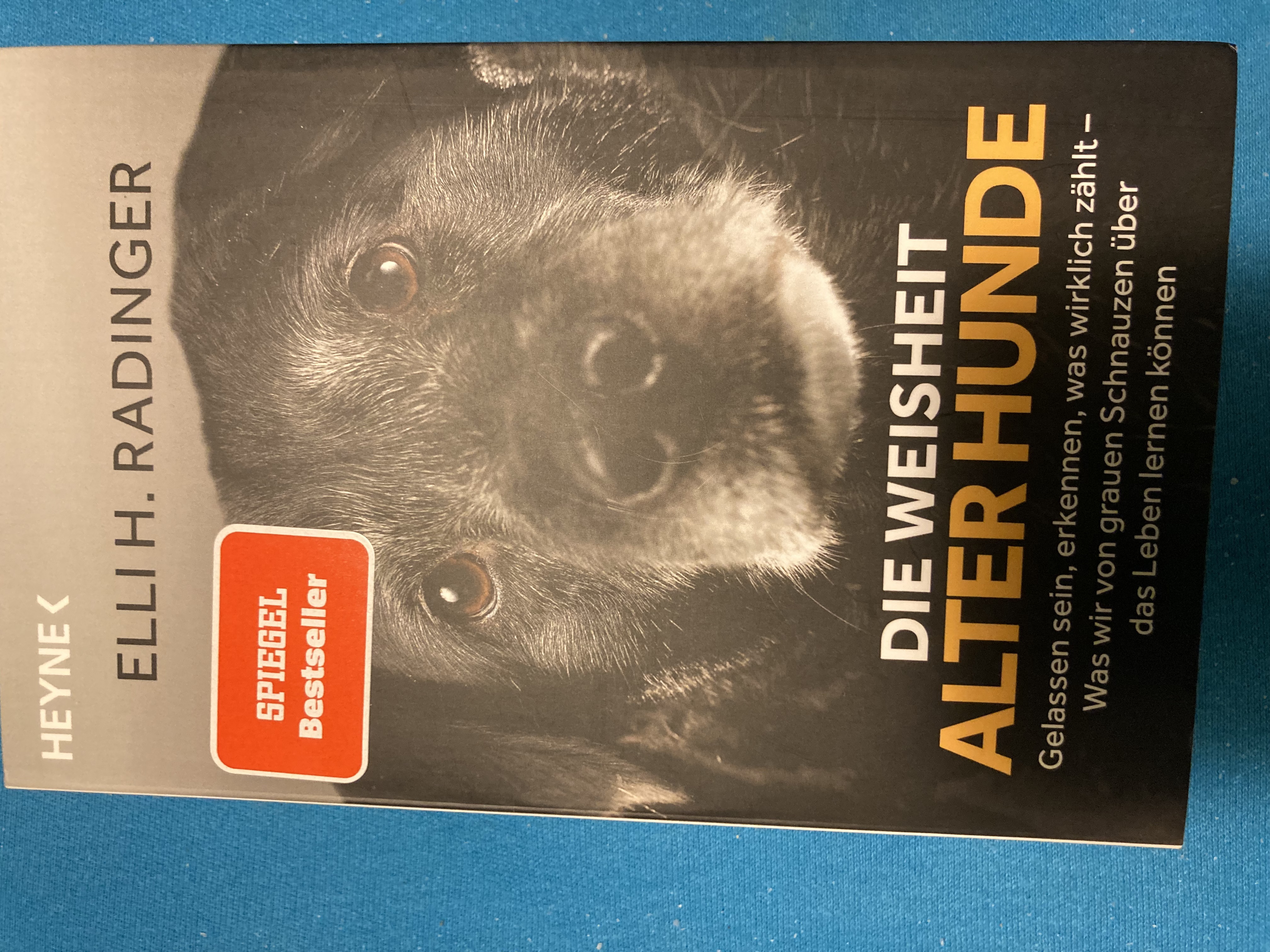 Elli H. Radinger: Die Weisheit alter Hunde (Heyne)
