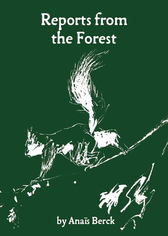 Anais Berck: Reports from the Forest (Paperback, 2026)