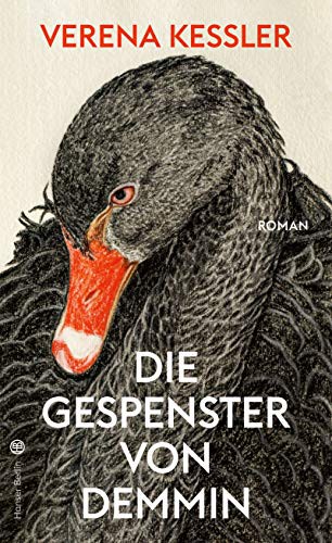 Die Gespenster von Demmin (Hardcover)