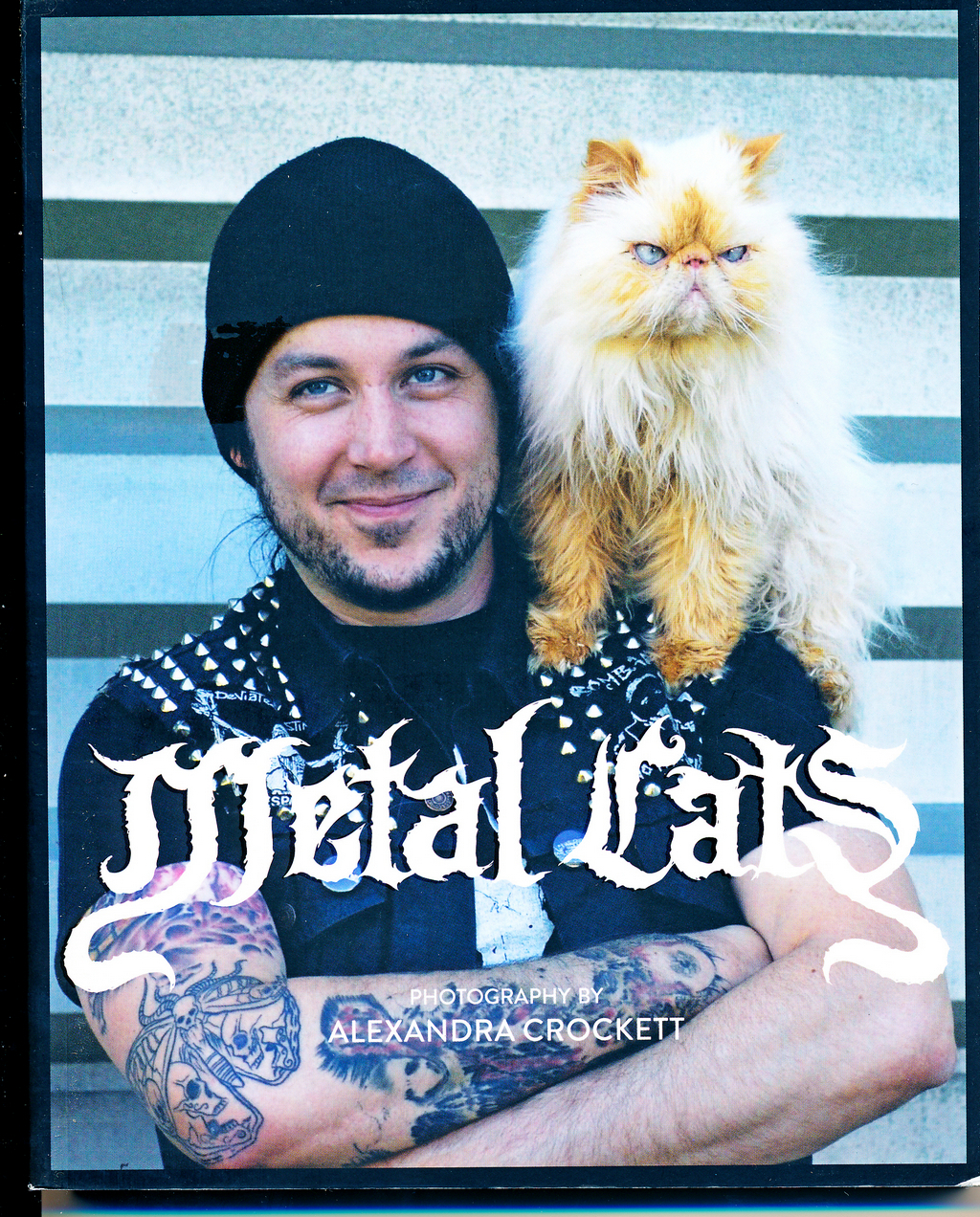 Crockett, Alexandra (Fotografin): Metal Cats (Paperback, PowerHouse Books)