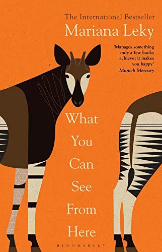 Mariana Leky: What You Can See From Here (Paperback)