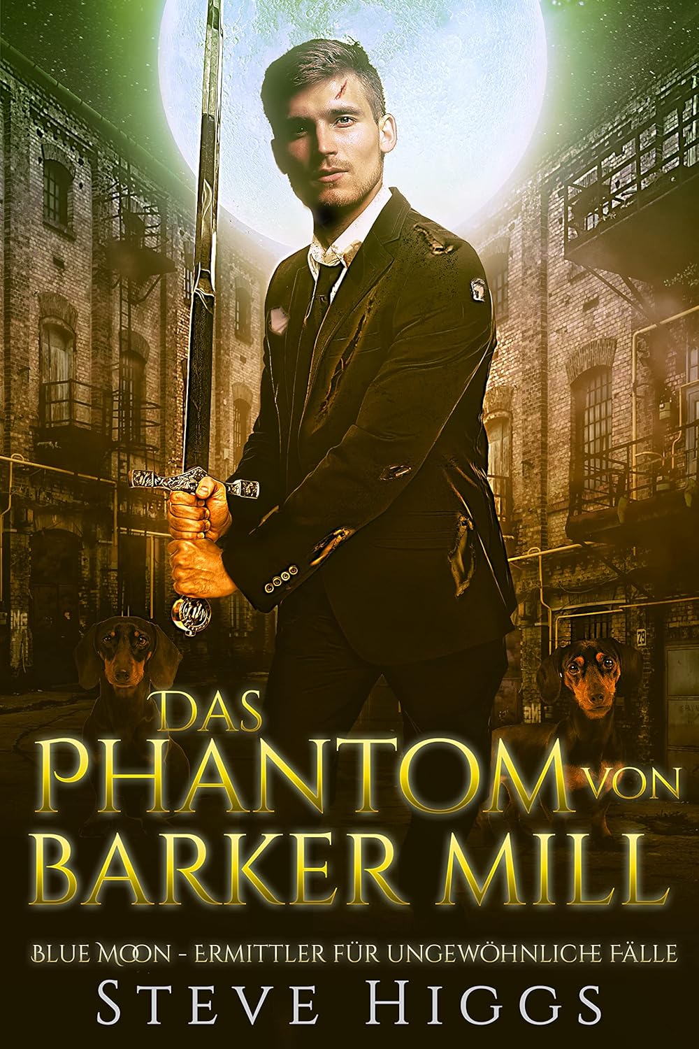 Steve Higgs: Das Phantom von Barker Mill (EBook, Deutsch language)