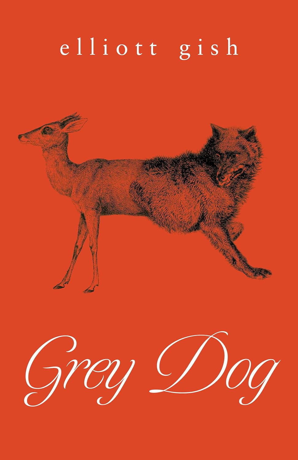 Elliot Gish, Elliott Gish: Grey Dog (Paperback, 2024, ECW Press)