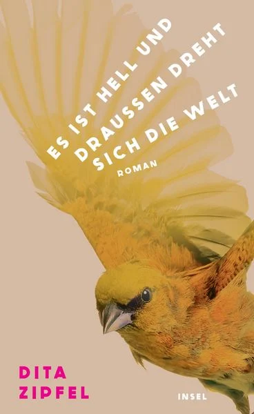 Dita Zipfel: Es ist hell und draußen dreht sich die Welt (Hardcover, Insel)