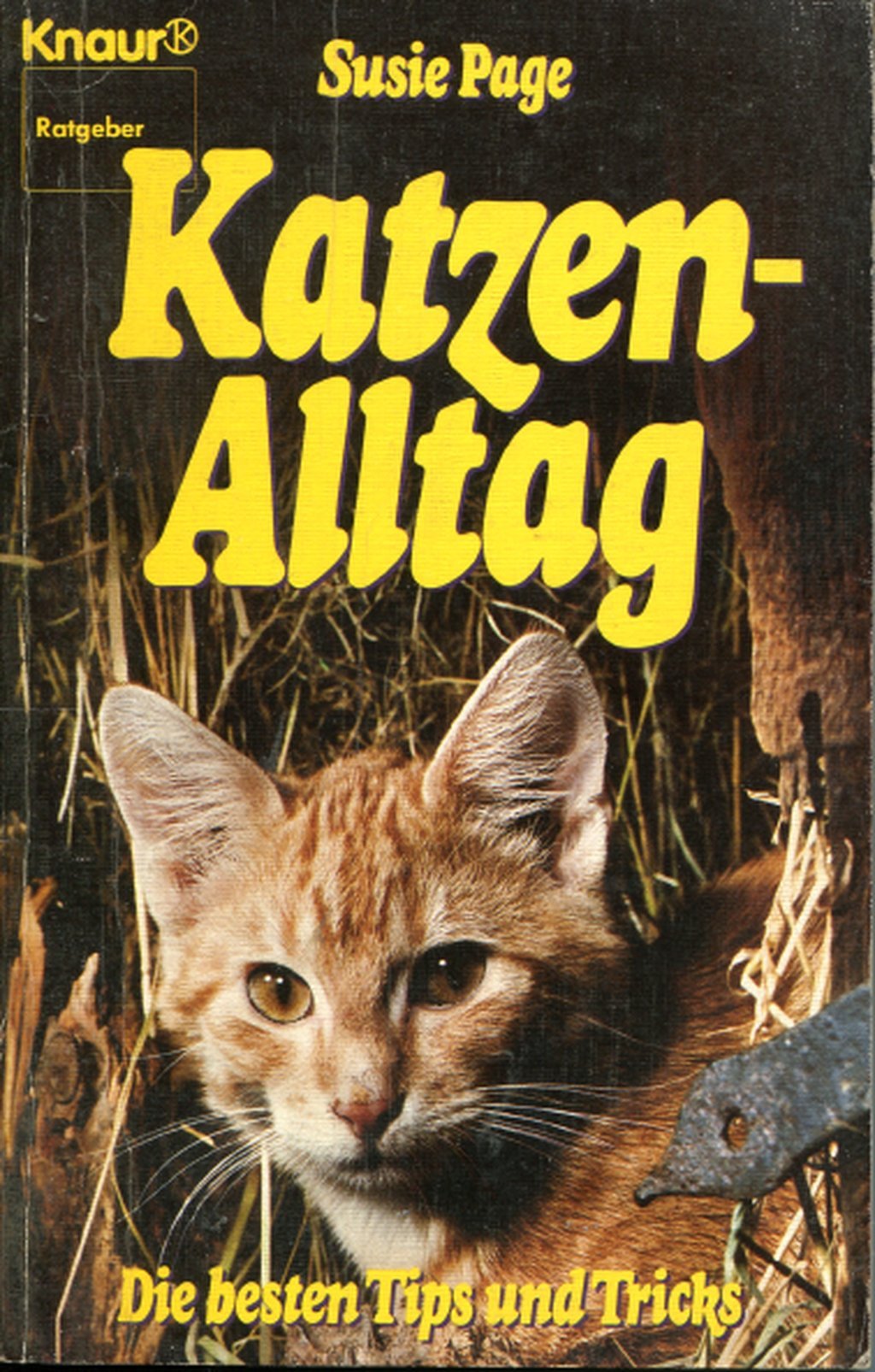 Page, Susie: Katzen - Alltag (Paperback, Deutsch language, Droemer Knaur)