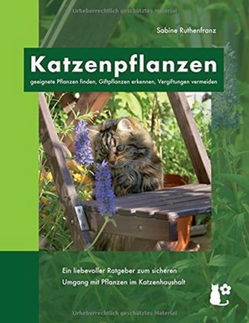 Ruthenfranz, Sabine: Katzenpflanzen (Paperback, Deutsch language, Books on Demand)
