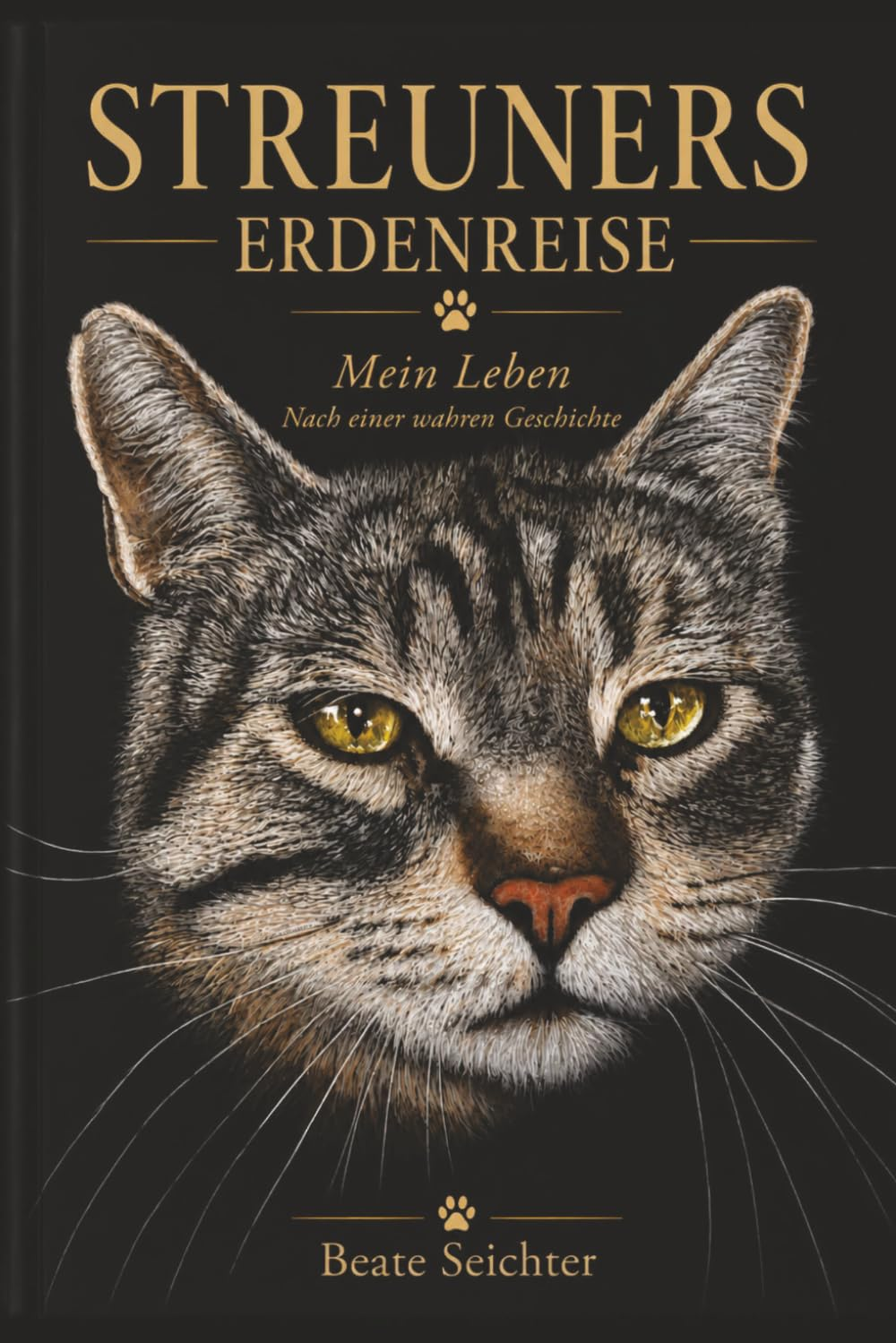 Seichter, Beate: Streuners Erdenreise (Paperback, Deutsch language, Independently published)